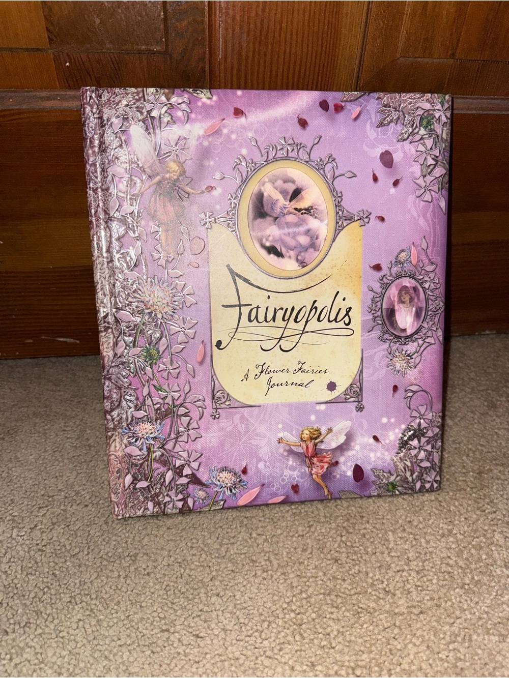 Fairyopolis Book